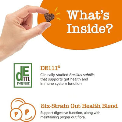 315g Probiotic Chewable Tablets Dog Food Cat Food Intestinal Health